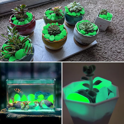 Glow In Dark Garden Rocks (Pack Of 100 pcs)